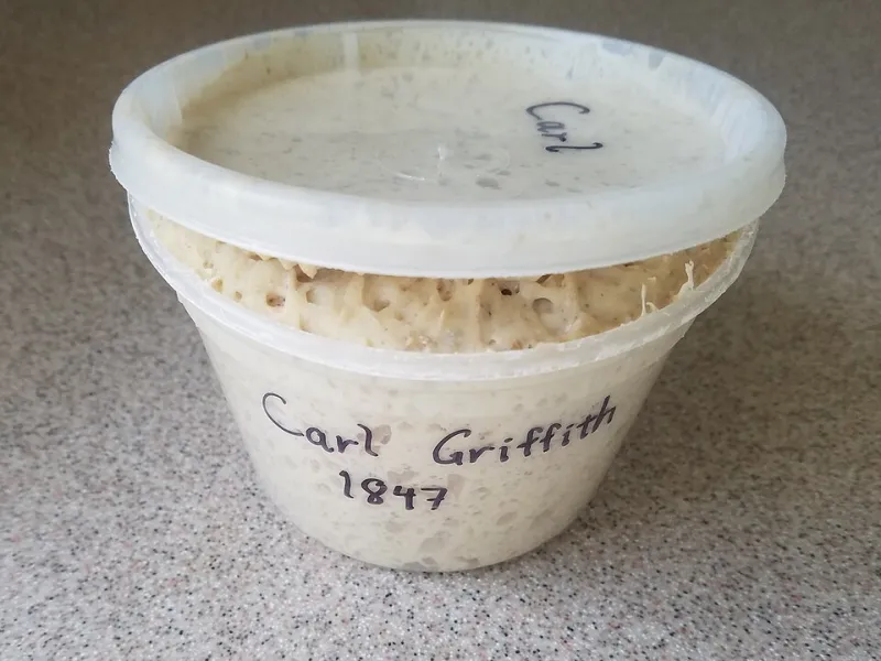 My Sourdough Starter Has a Name, a Personality, and Frankly Better Job Security Than I Do
